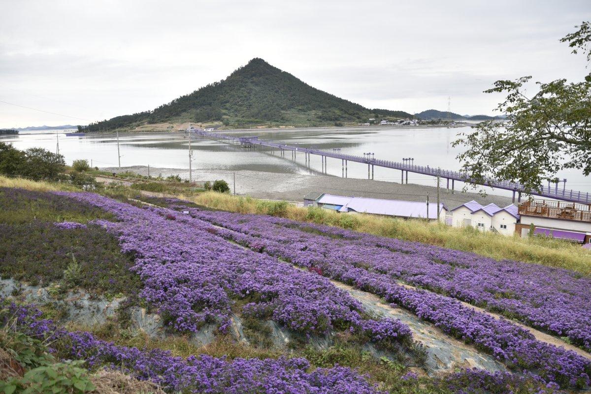 UNESCO tarafından belirlenen Güney Kore’de deneyimlenebileceğiniz yerler