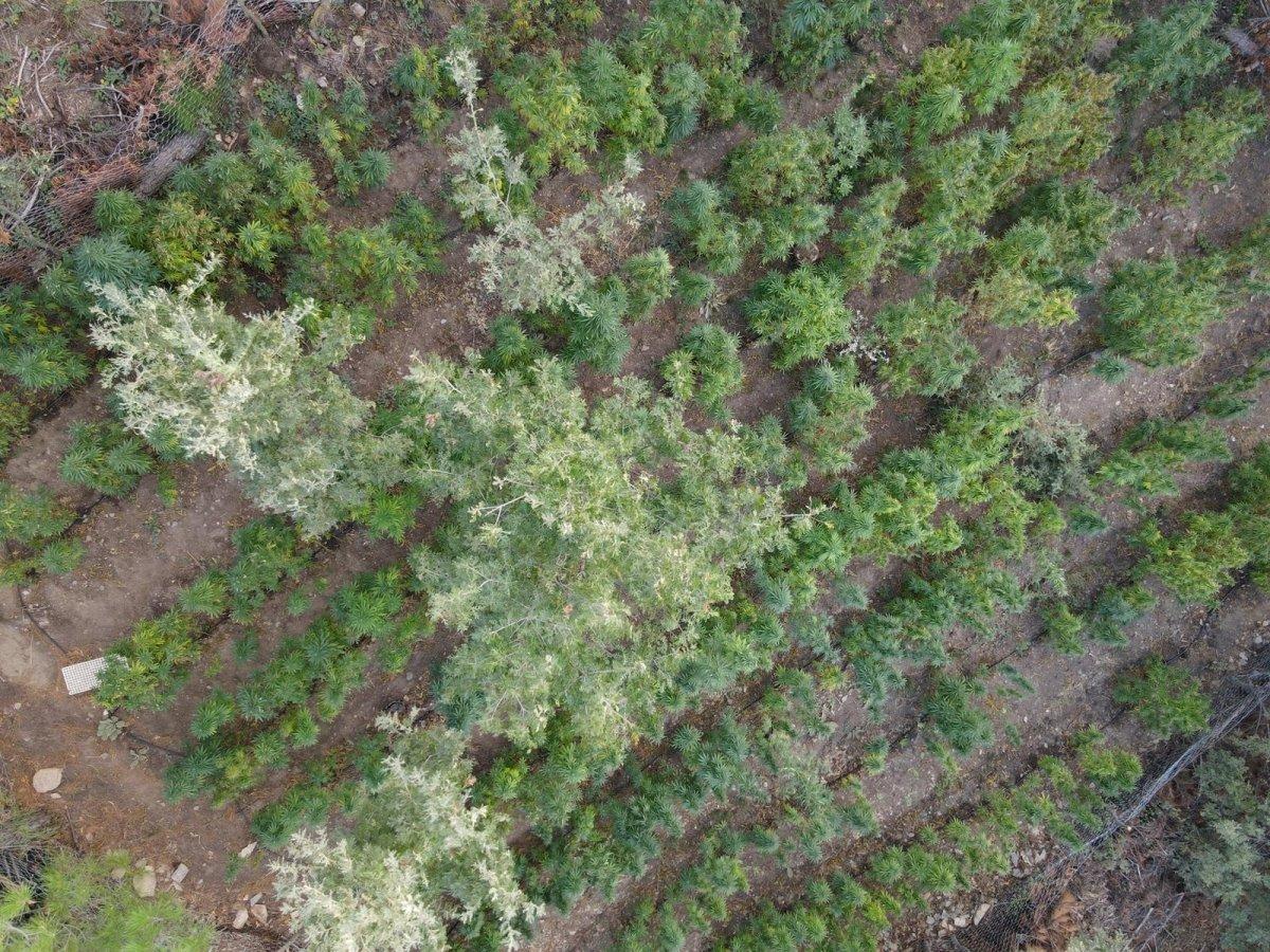 İzmir'de uyuşturucu baskını sonucu 14 şüpheli gözaltına alındı
