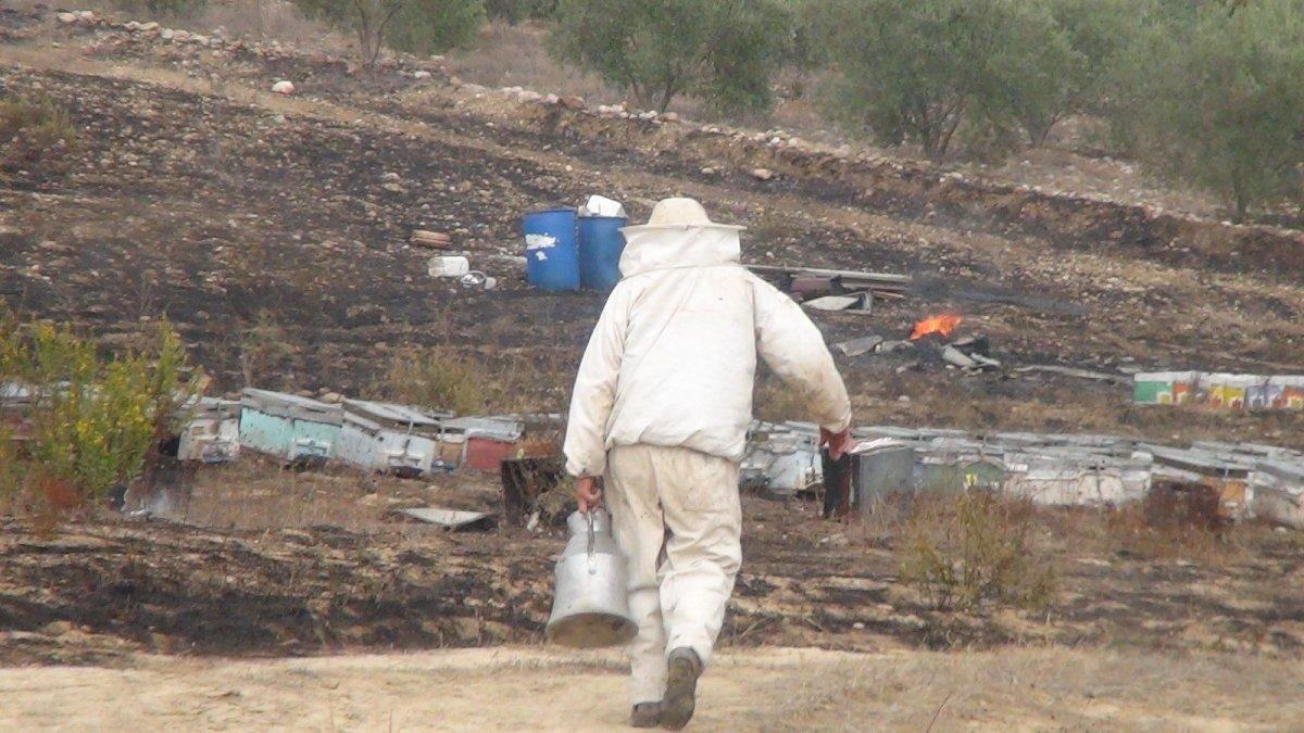 Antalya'da, yangının ortasında kalan arı kovanları küle döndü