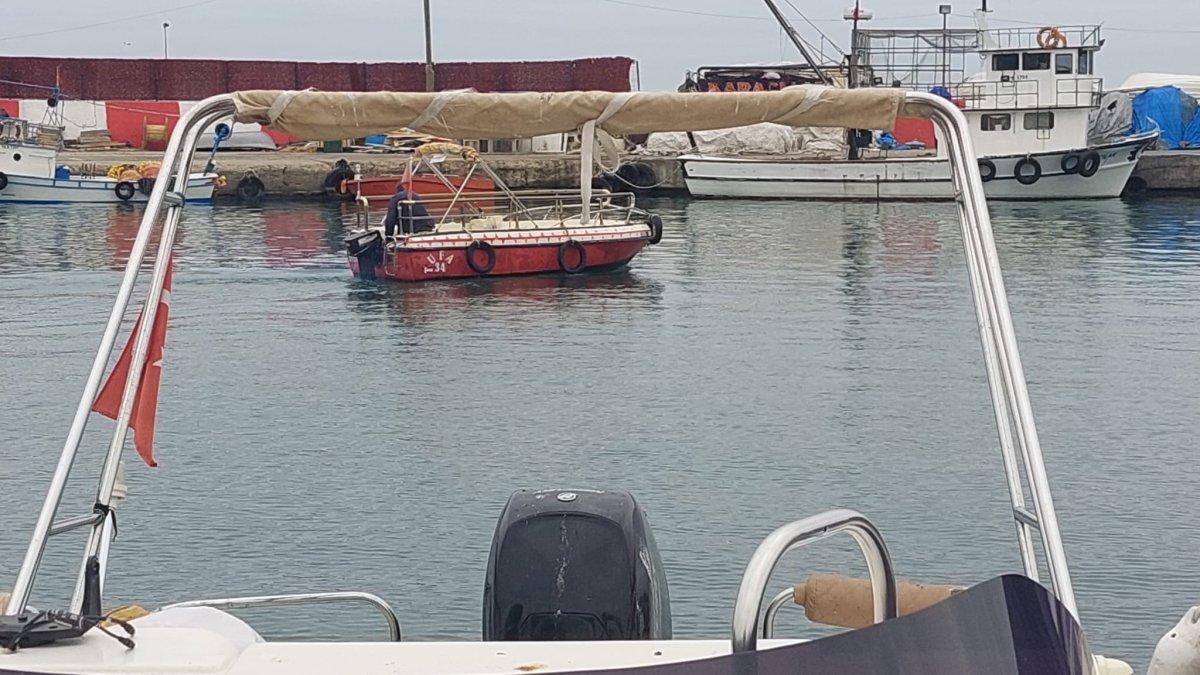 Tekirdağ'daki yunuslar balıkçıkların işini zorlaştırdı