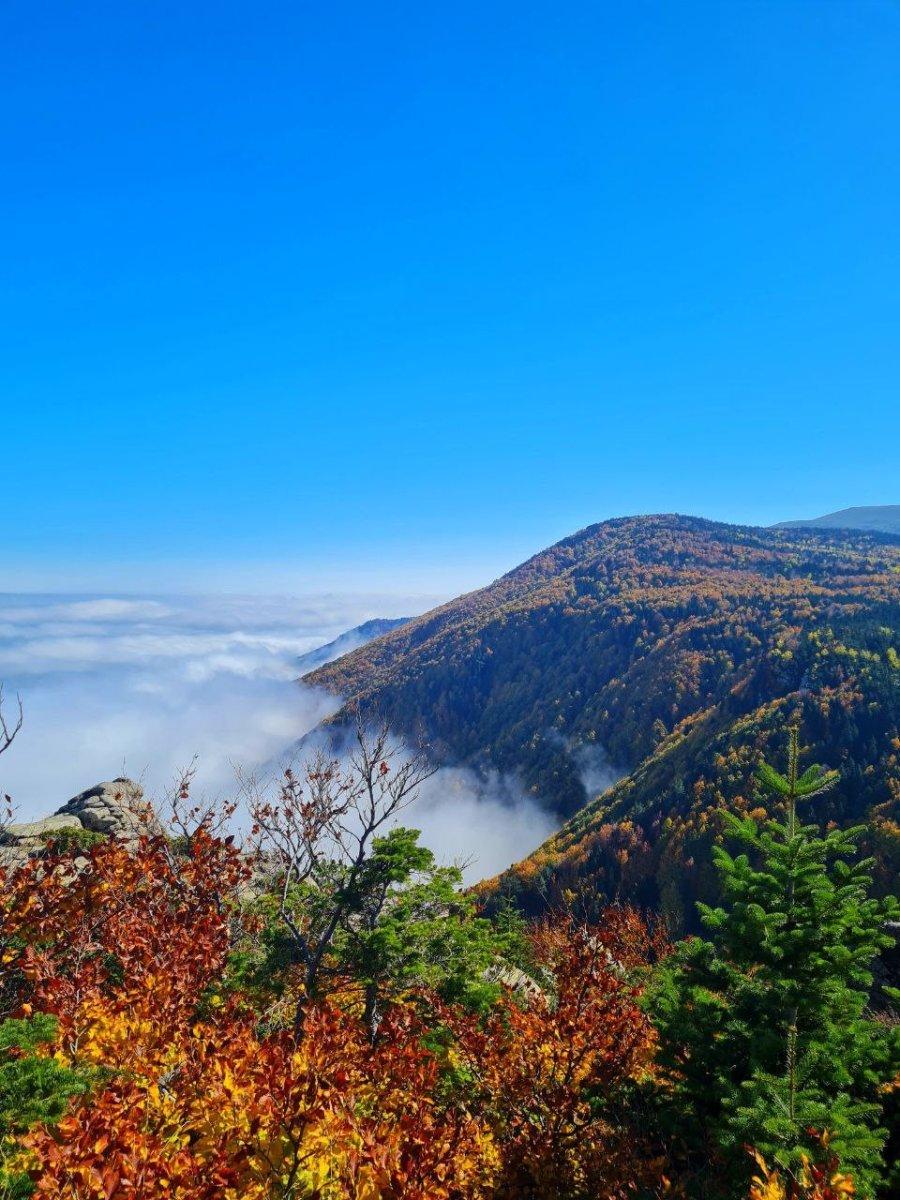 Uludağ, sonbaharda güzelliği ile büyüledi