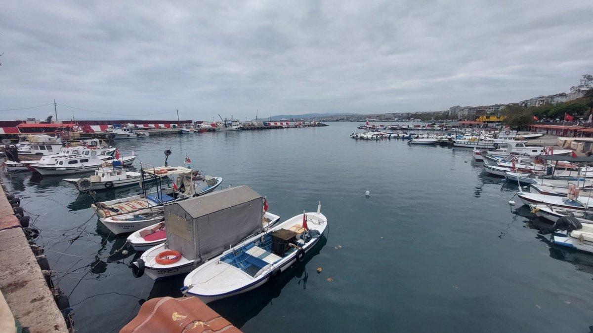 Tekirdağ'daki yunuslar balıkçıkların işini zorlaştırdı