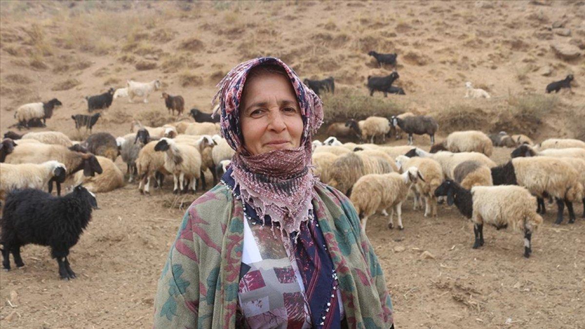 Hakkarili kadın, izlediği haber sayesinde sürü sahibi oldu