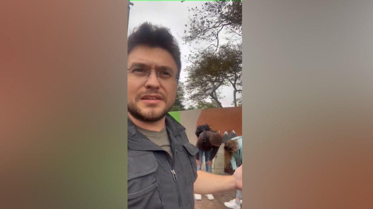 Başıboş sokak köpekleri İstanbul'da turistlere saldırdı