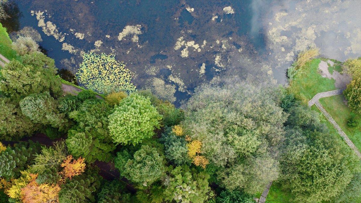 Gölcük Tabiat Parkı'nda sonbahar şöleni