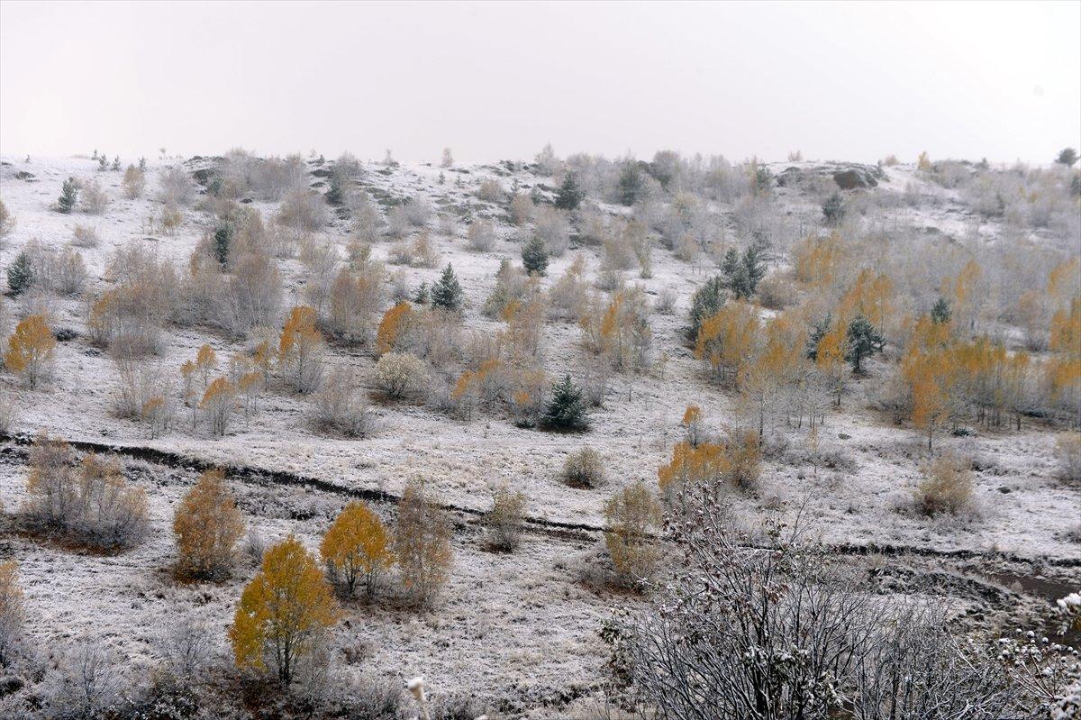 Ardahan'da kar ve tipi etkili oldu