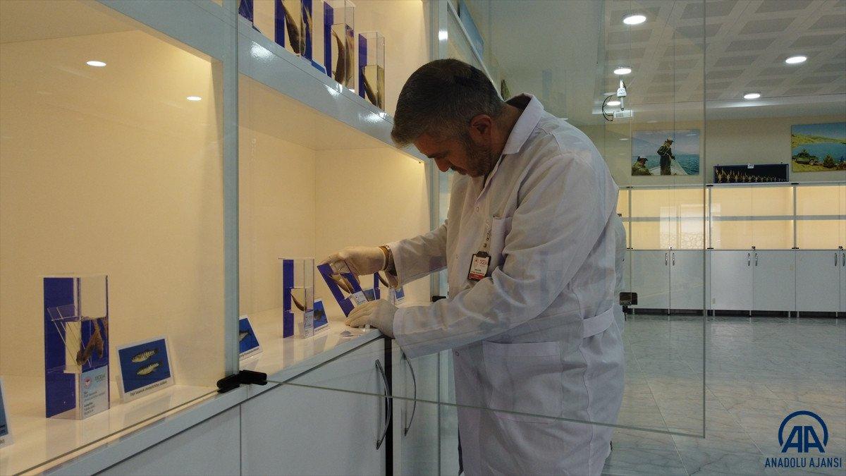 Eğirdir'deki balık müzesi yenilenen yüzüyle ziyaretçileri ağırlayacak