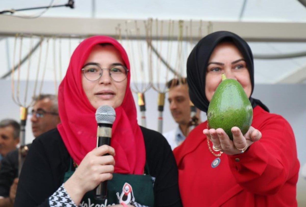 Alanya'nın en ağır avokadosu seçildi