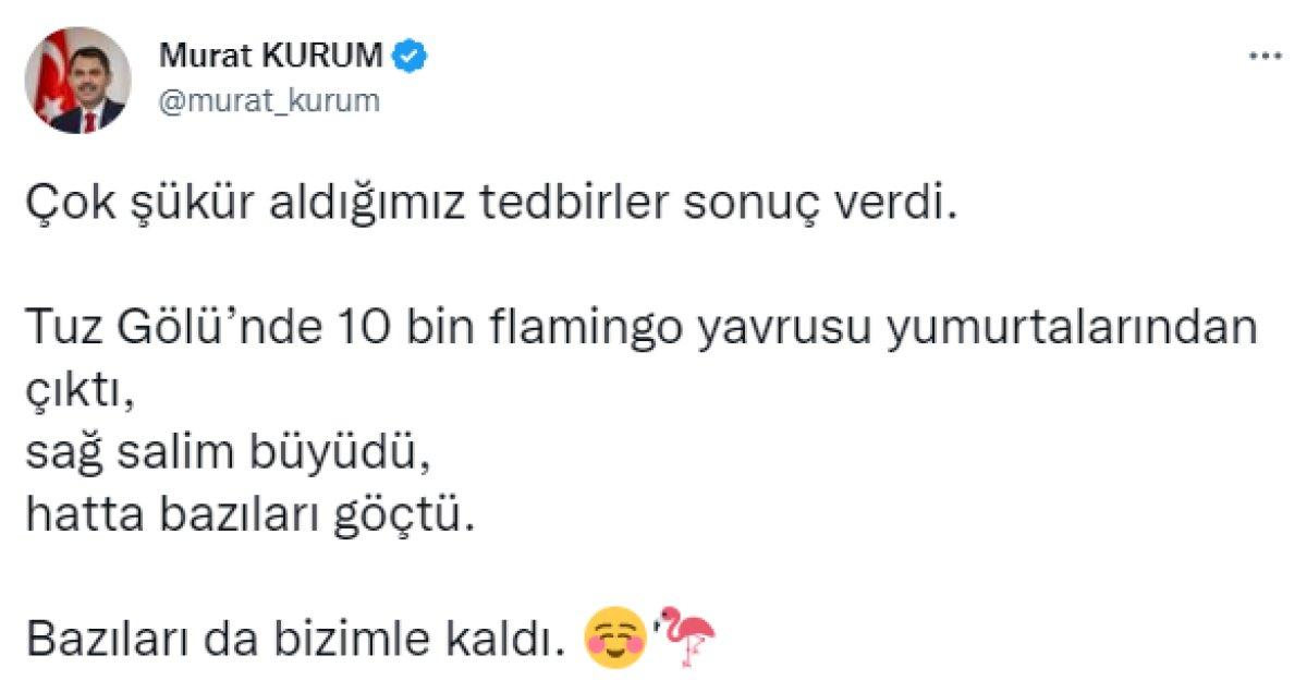 Tuz Gölü'nde flamingolar tehlikeden kurtuldu