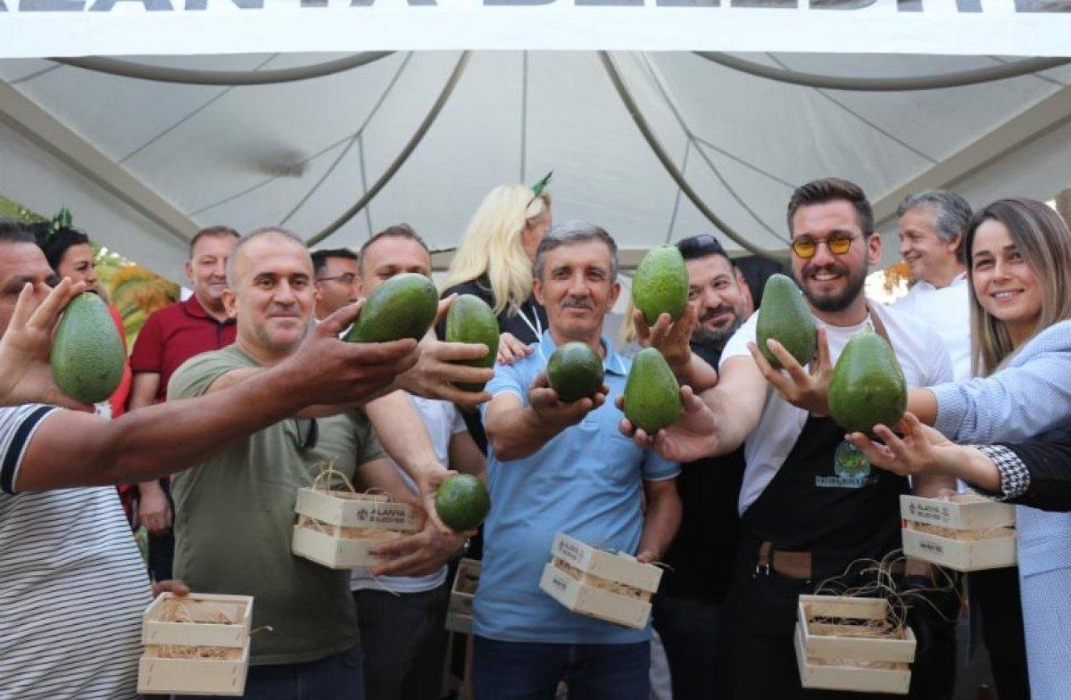 Alanya'nın en ağır avokadosu seçildi