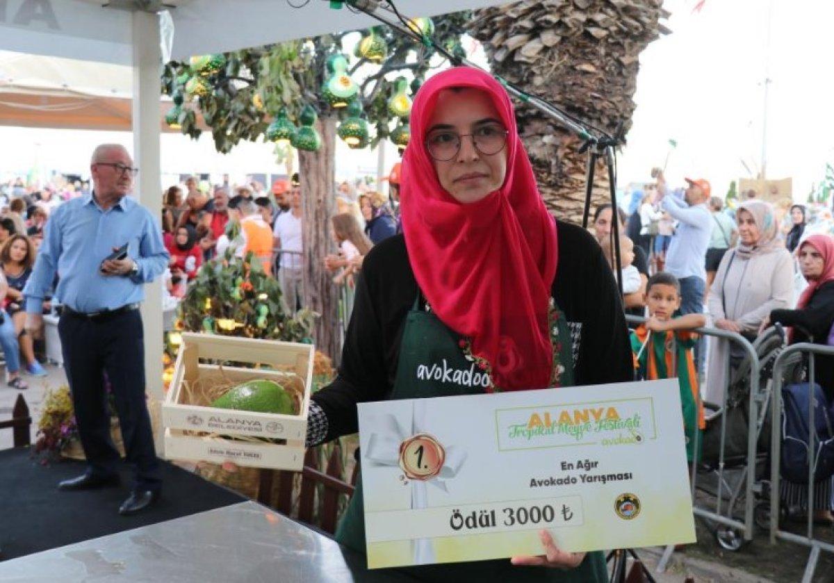 Alanya'nın en ağır avokadosu seçildi