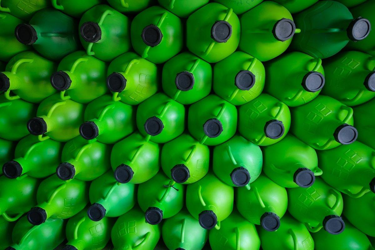 Zeytin hasadı başladı, üretici ihracatta gelir artışı bekliyor