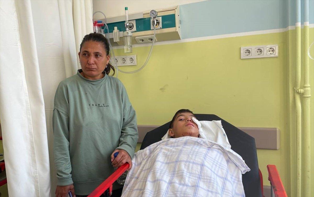 Manisa ve Edirne'de sokak köpekleri 3 can yaktı