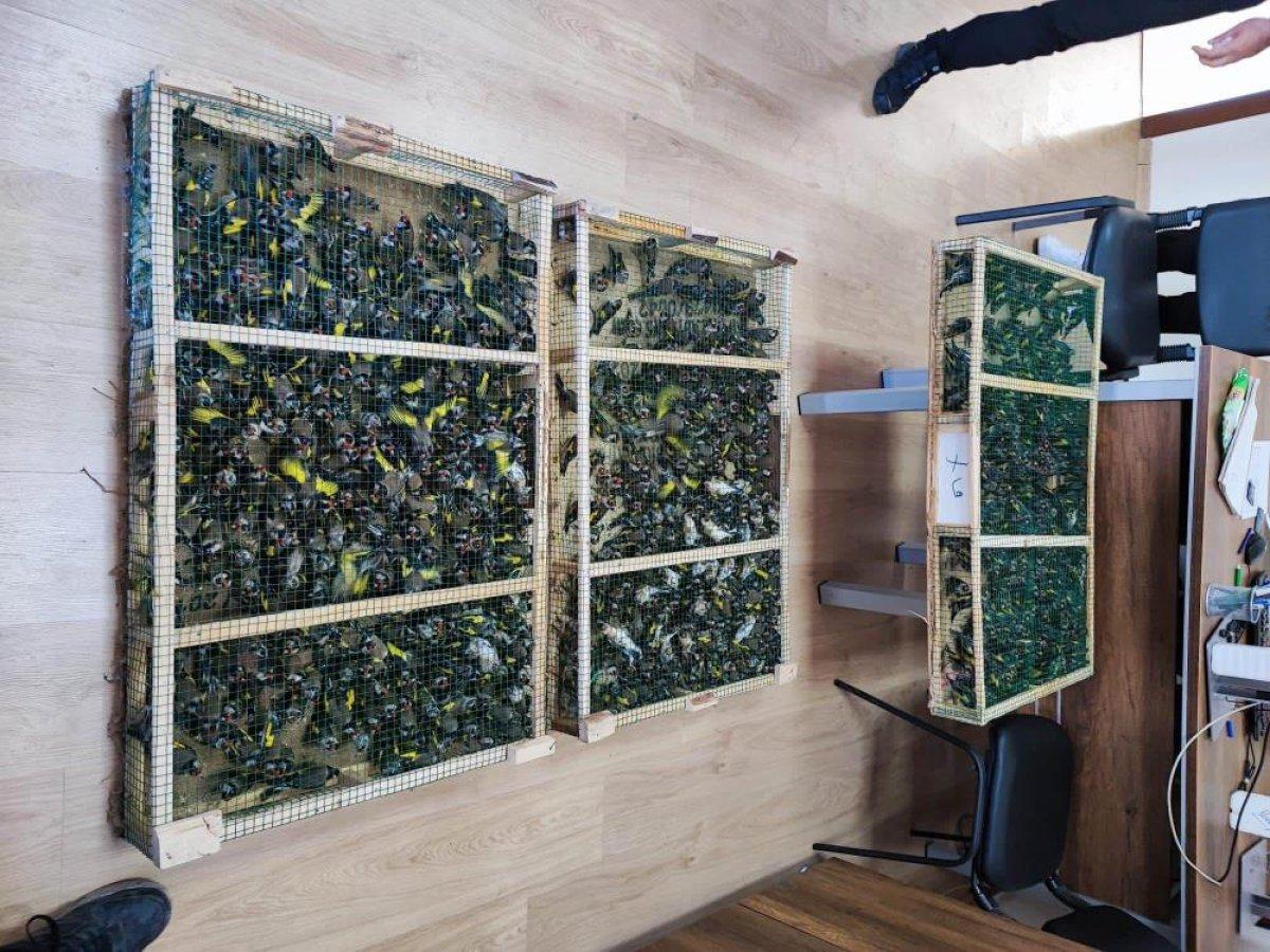 Kilis'te sınır kapasında saka kuşu operasyonu