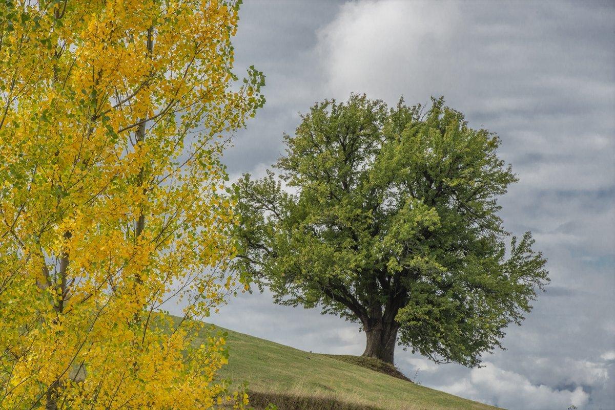 Artvin sonbahar renkleriyle doğaseverlerin rotasında