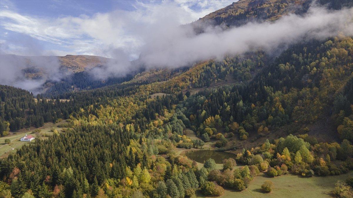 Artvin sonbahar renkleriyle doğaseverlerin rotasında