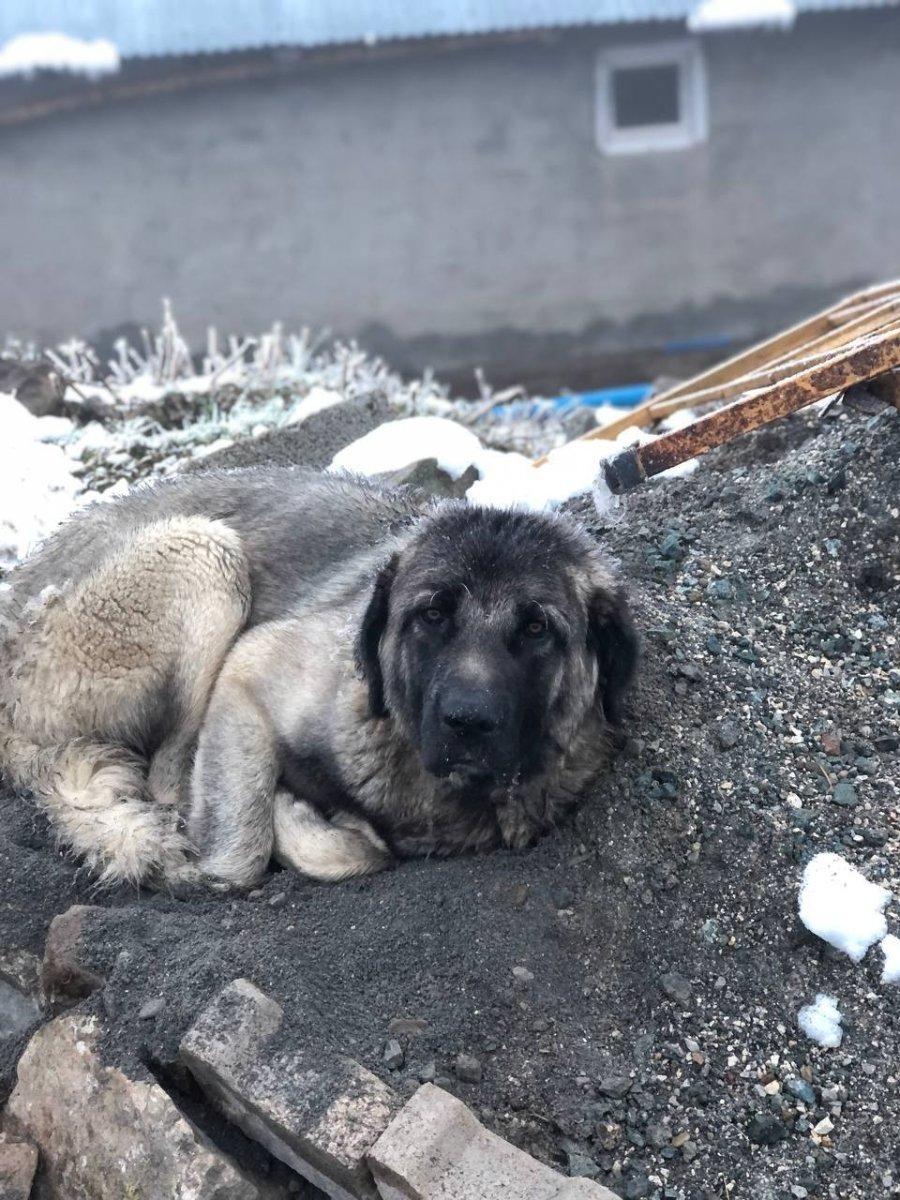 Baybur'ta kar yağdı