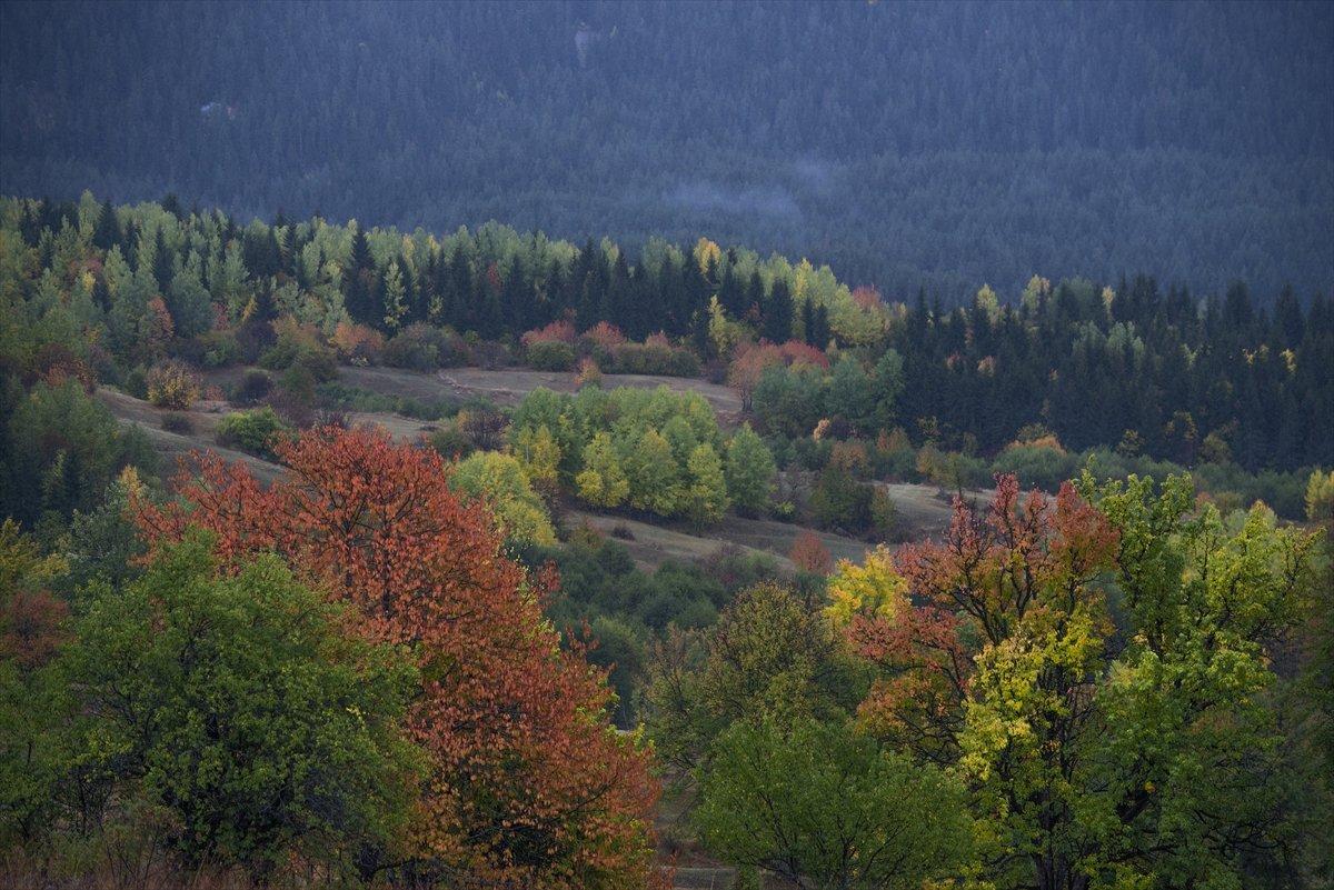 Artvin sonbahar renkleriyle doğaseverlerin rotasında