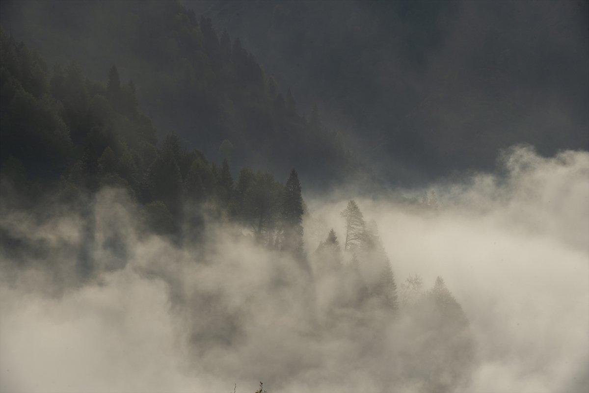 Artvin sonbahar renkleriyle doğaseverlerin rotasında