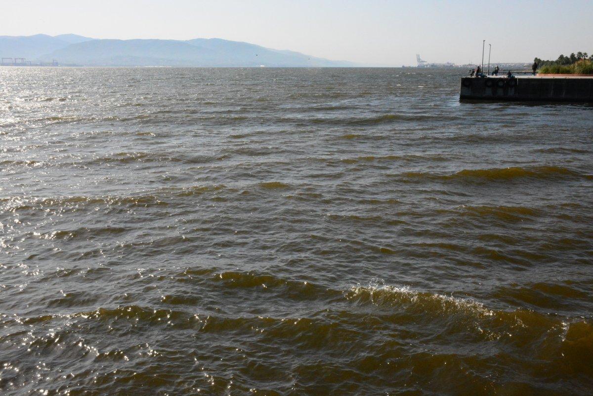 İzmit Körfezi'nde renk değişikliği