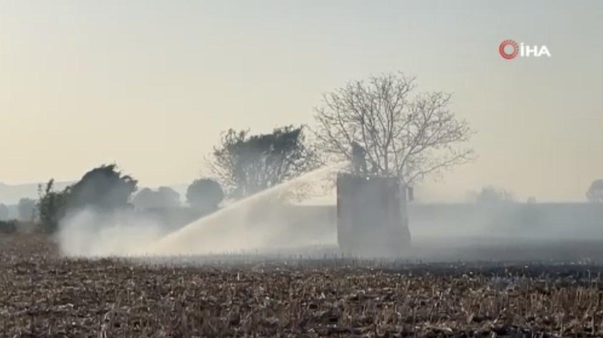 Sakarya'da çıkan anız yangınları ekiplerce kontrol altına alındı