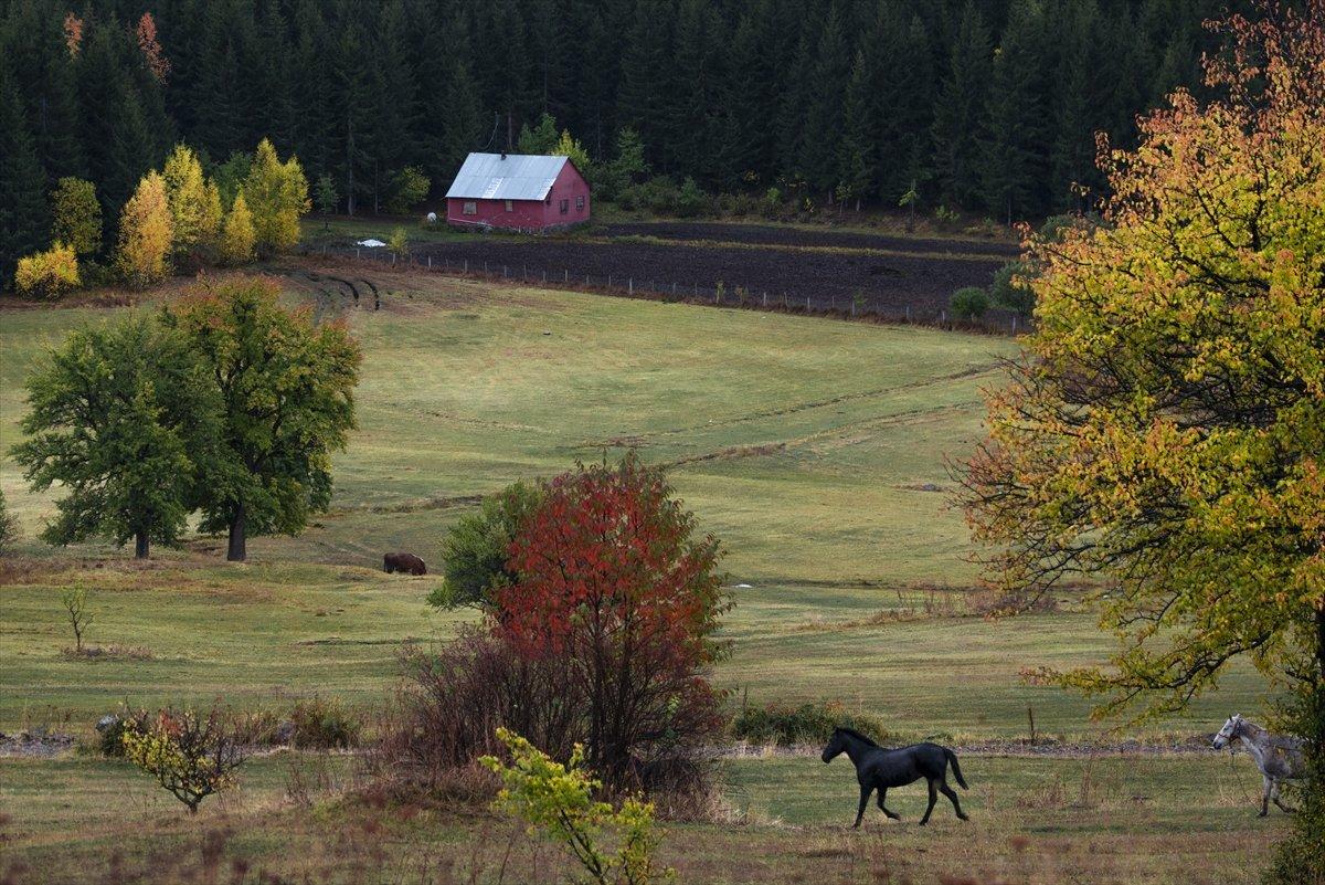 Artvin sonbahar renkleriyle doğaseverlerin rotasında