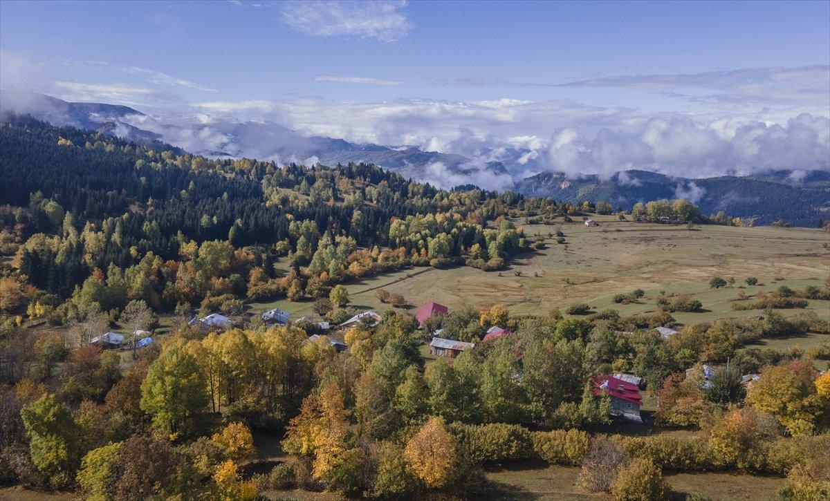 Artvin sonbahar renkleriyle doğaseverlerin rotasında