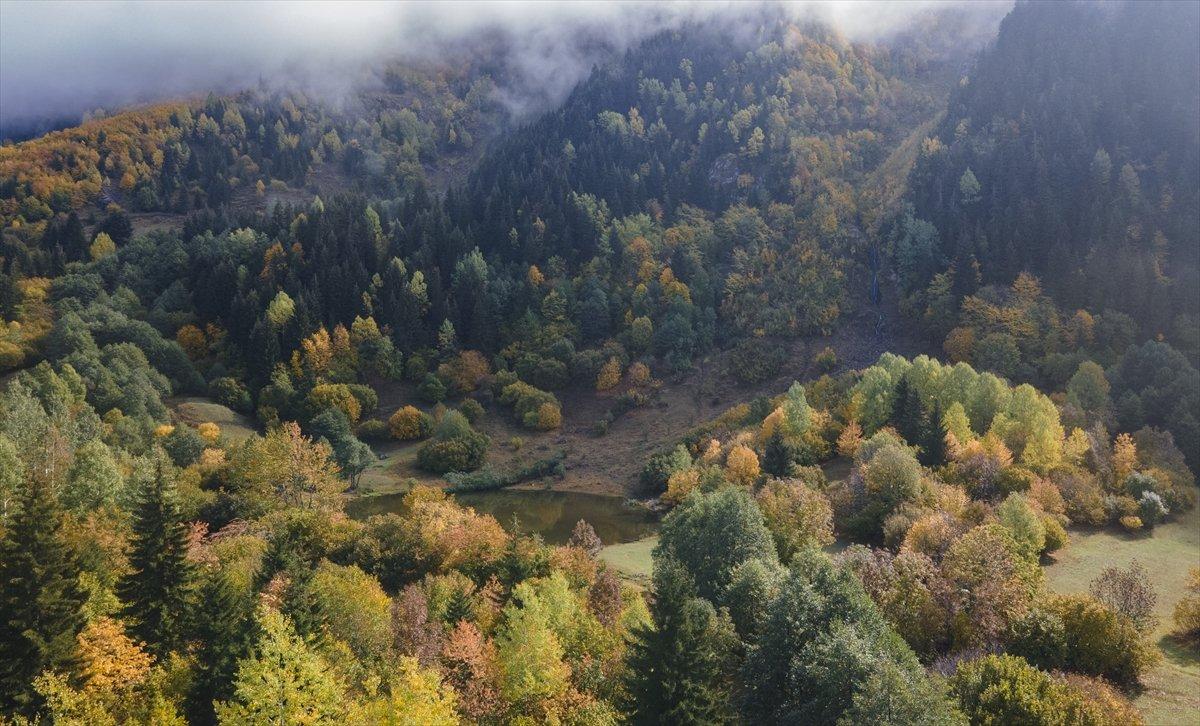 Artvin sonbahar renkleriyle doğaseverlerin rotasında