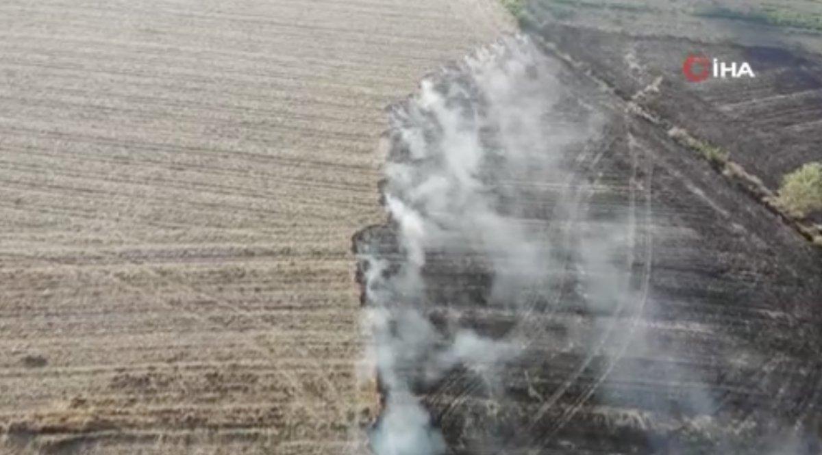 Sakarya'da çıkan anız yangınları ekiplerce kontrol altına alındı