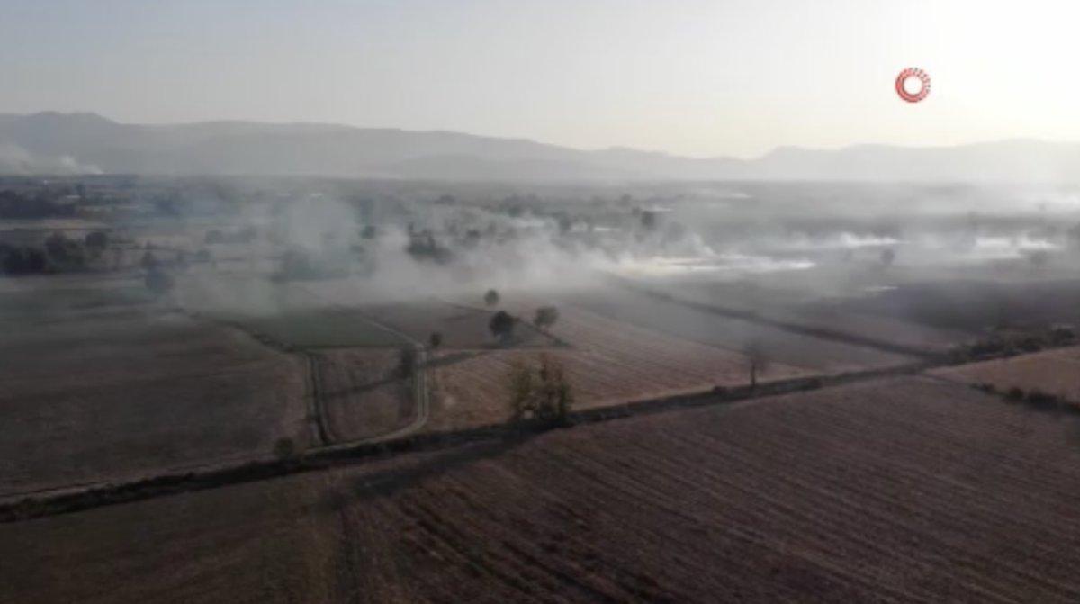 Sakarya'da çıkan anız yangınları ekiplerce kontrol altına alındı