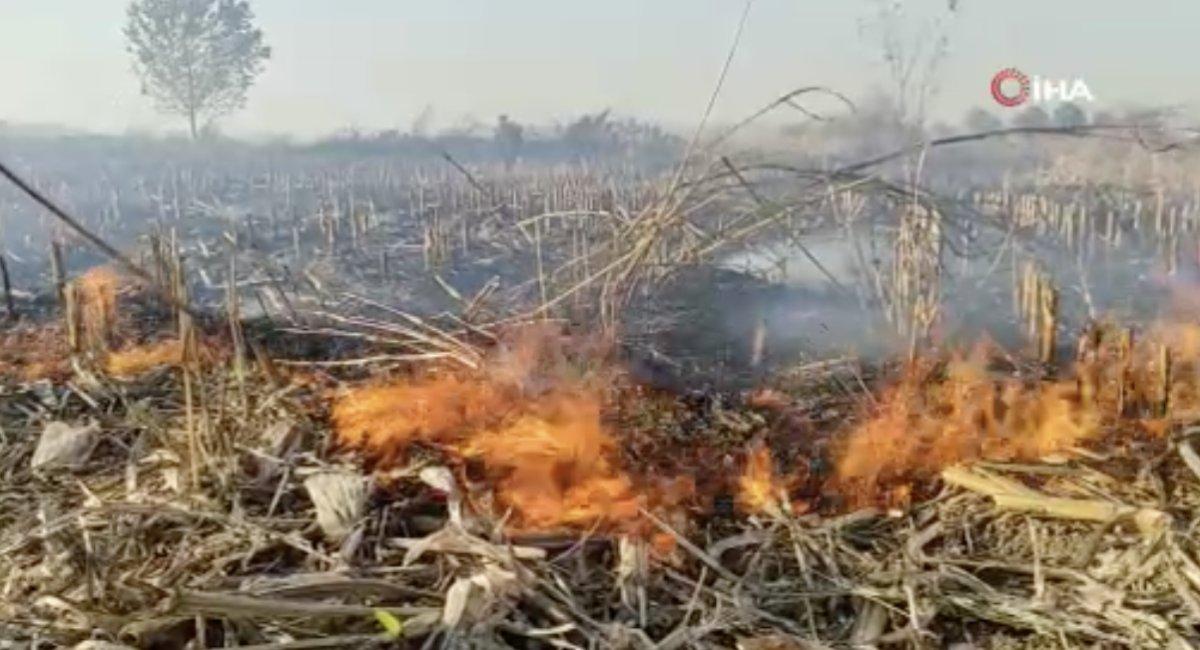 Sakarya'da çıkan anız yangınları ekiplerce kontrol altına alındı