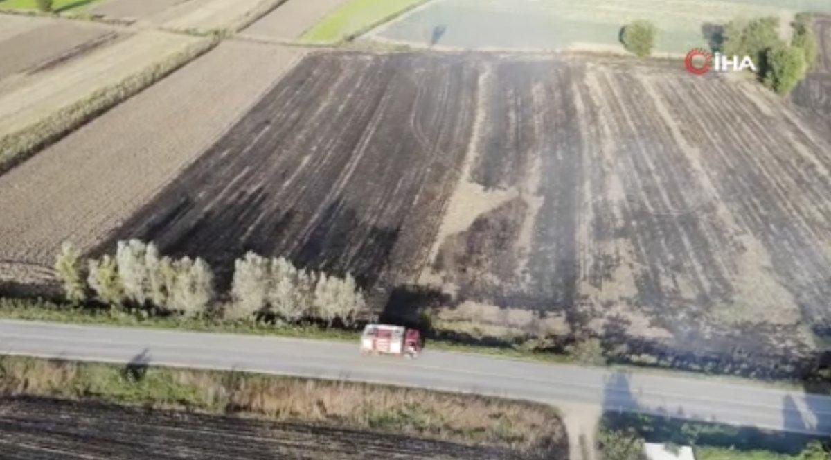 Sakarya'da çıkan anız yangınları ekiplerce kontrol altına alındı