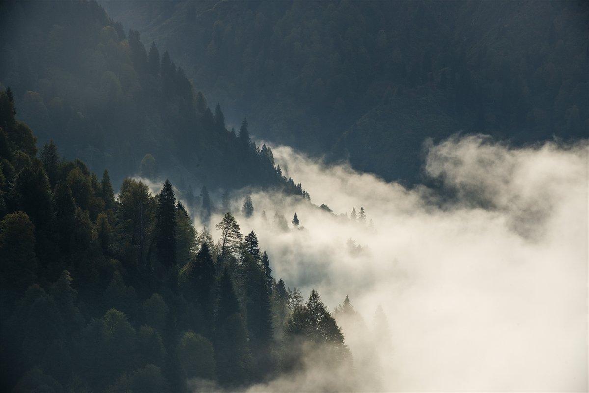 Artvin sonbahar renkleriyle doğaseverlerin rotasında