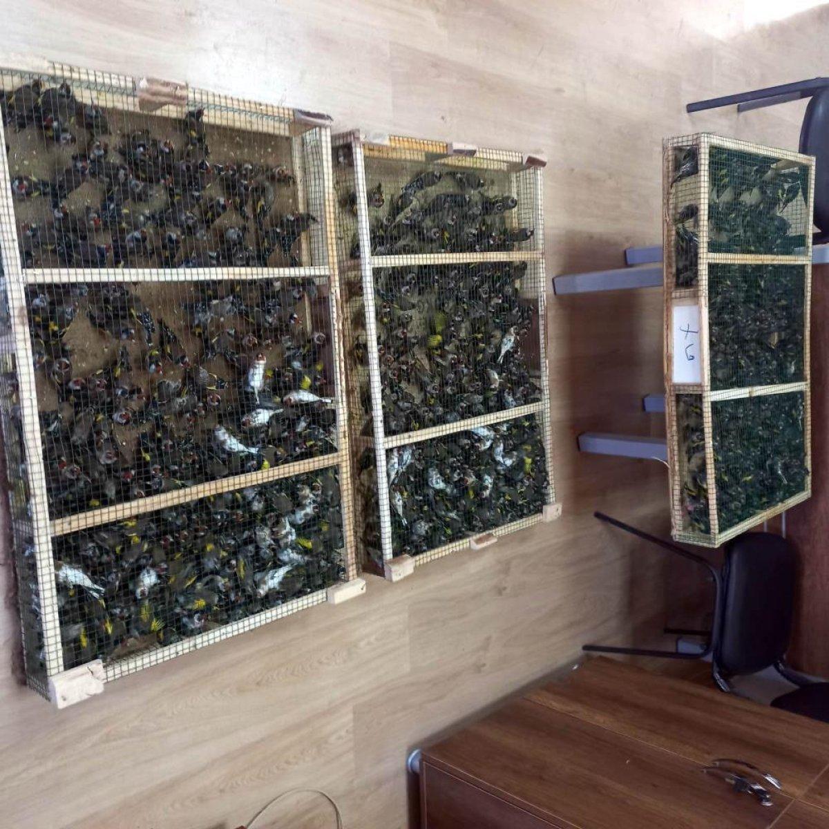 Kilis'te sınır kapasında saka kuşu operasyonu