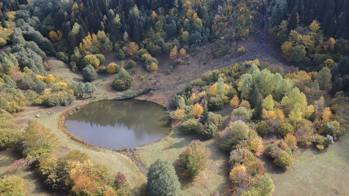 Artvin sonbahar renkleriyle doğaseverlerin rotasında