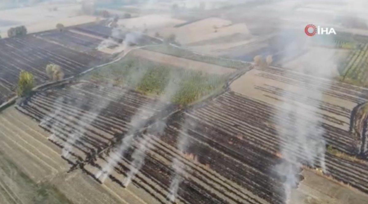 Sakarya'da çıkan anız yangınları ekiplerce kontrol altına alındı