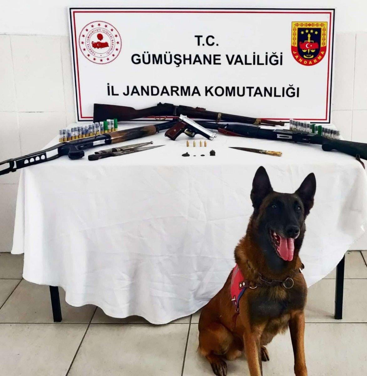 Gümüşhane’de, kaçak silah operasyonunda Roma sikkesi ele geçirildi