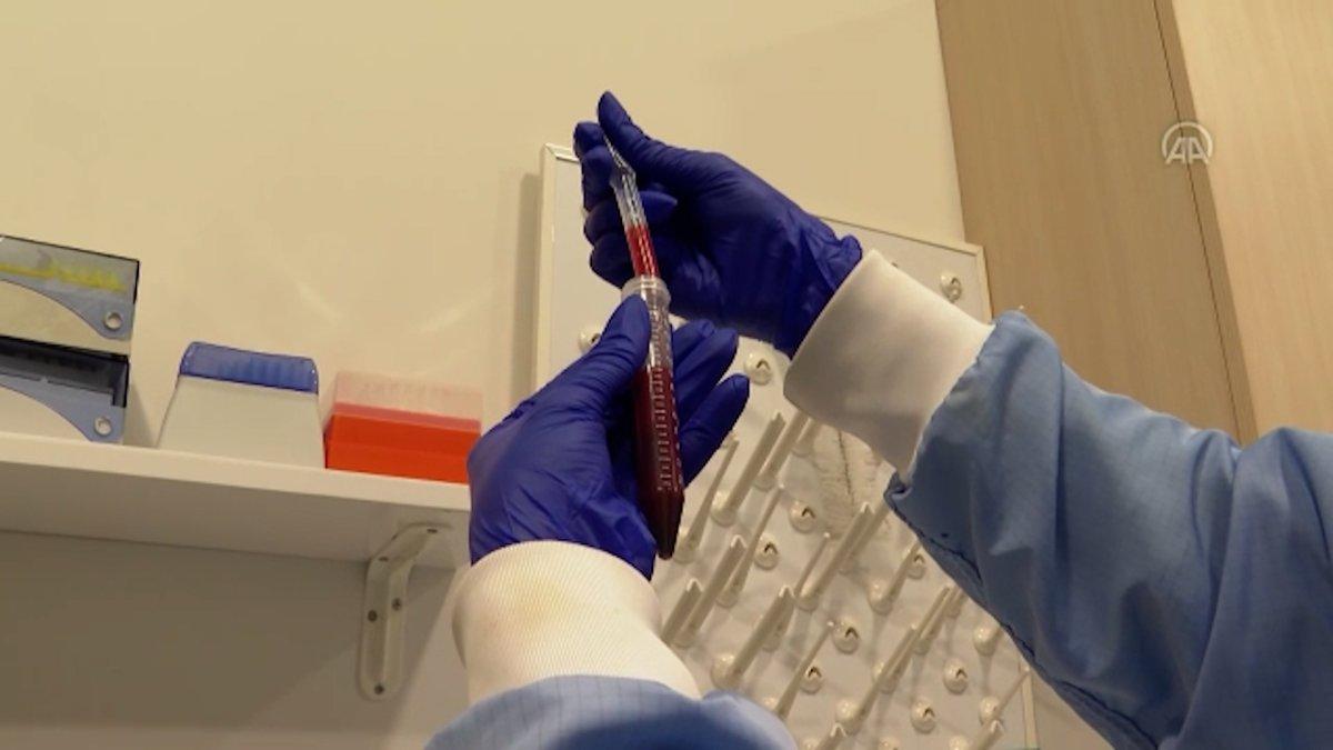 Kanser hücrelerini belirleyen akıllı çip yönteminde klinik aşamaya geçildi