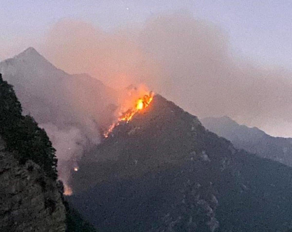 Osmaniye’de ormanlık alanda yangın