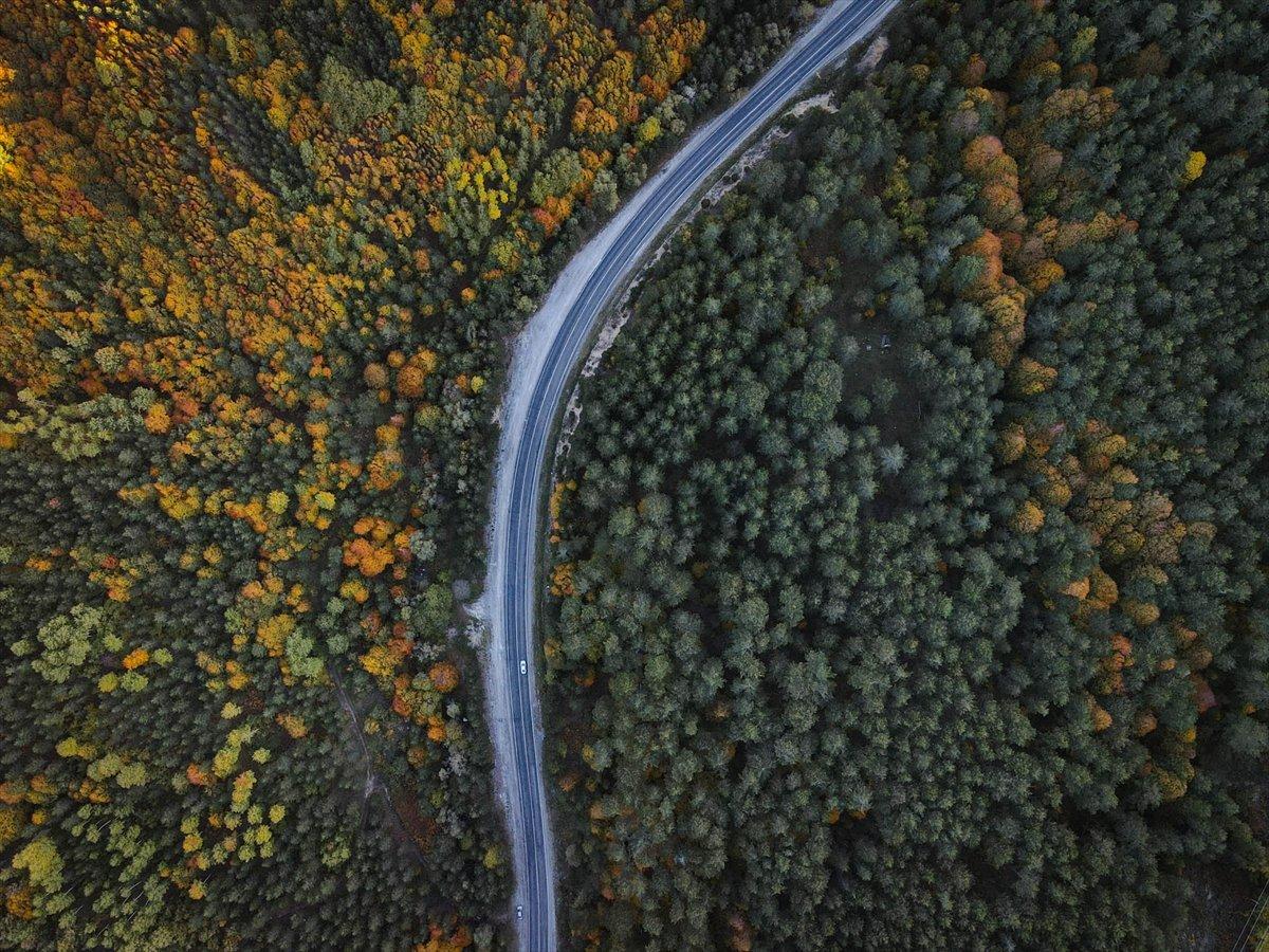 Domaniç Dağları sonbaharın renklerine büründü