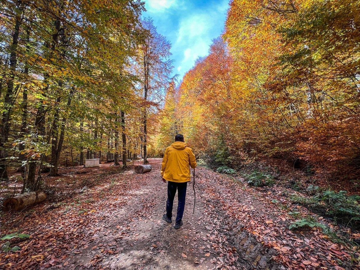 Domaniç Dağları sonbaharın renklerine büründü