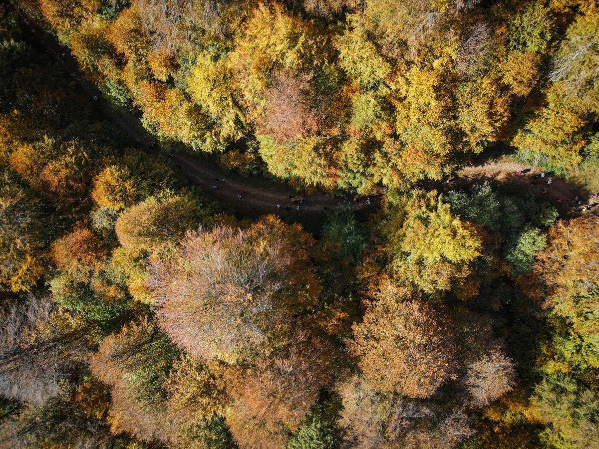 Domaniç Dağları sonbaharın renklerine büründü