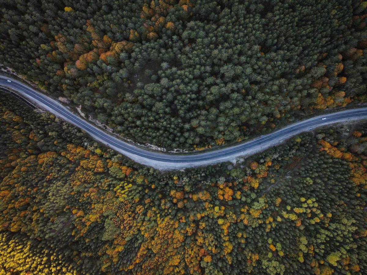 Domaniç Dağları sonbaharın renklerine büründü
