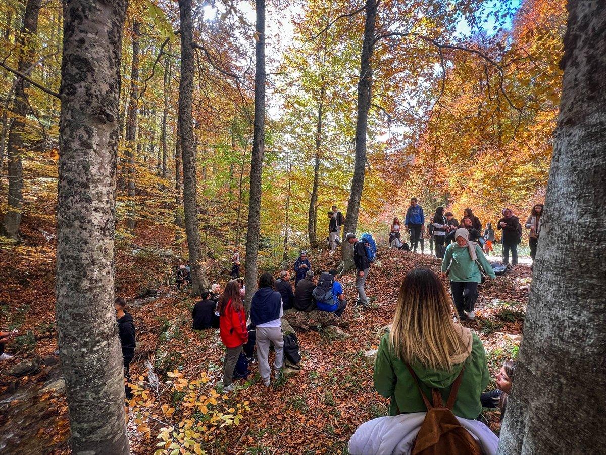 Domaniç Dağları sonbaharın renklerine büründü