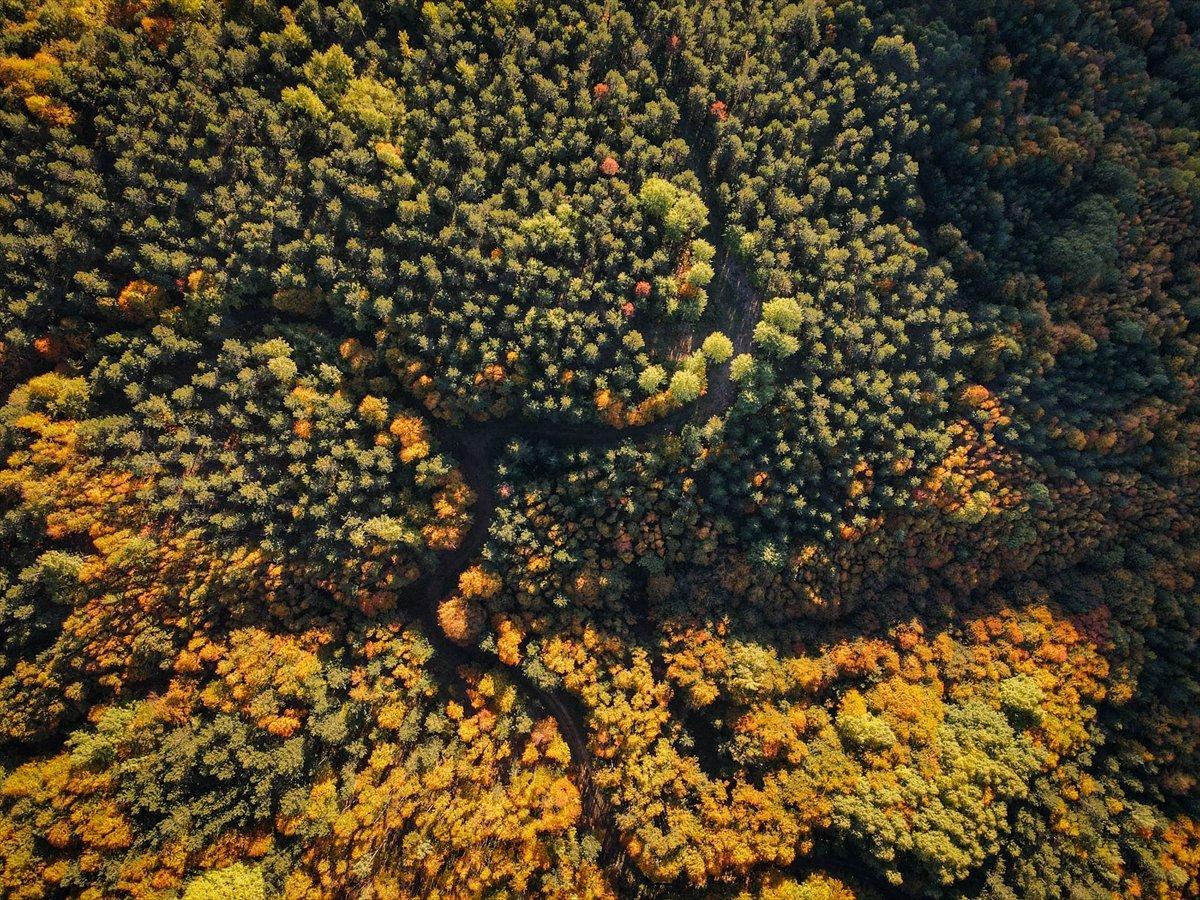 Domaniç Dağları sonbaharın renklerine büründü