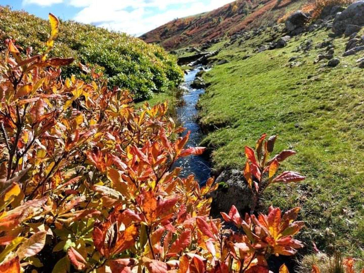 Ordu'nun yaylarında kartpostallık sonbahar manzarası