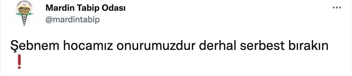Tabip Odaları'ndan Şebnem Fincancı'ya destek açıklamaları