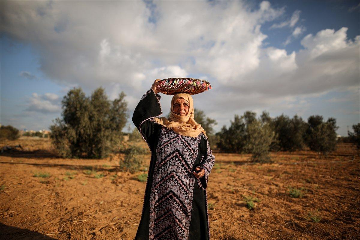 Filistinli kadın çiftçilerin işgal altındaki zorlu yaşamı