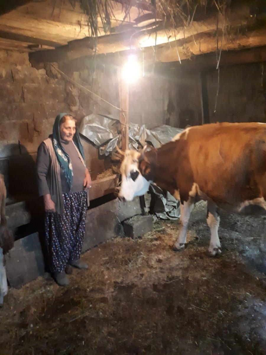 Tunceli'deki yangında inekleri telef olan aileye hediye