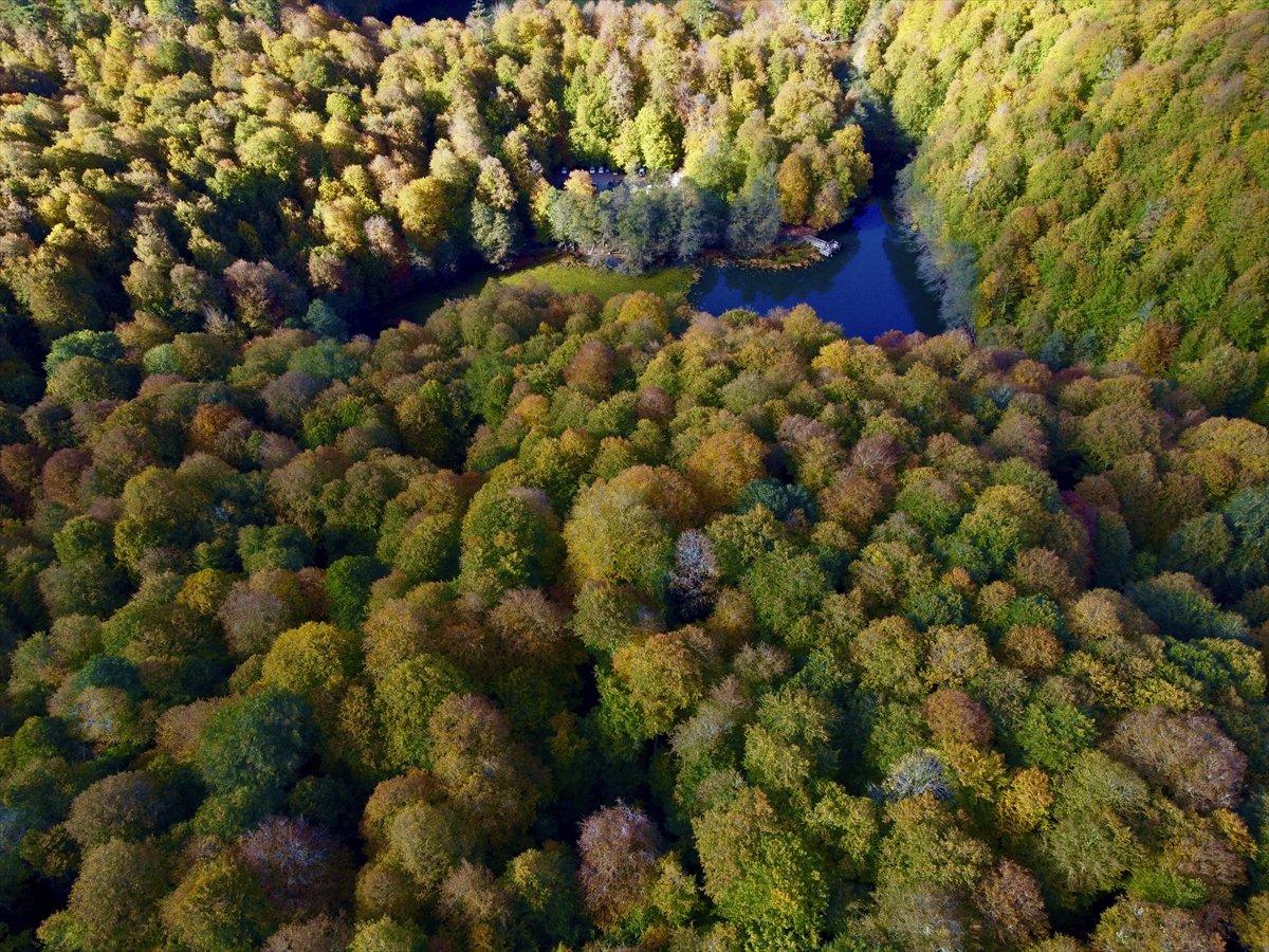 Yedigöller Milli Parkı renkli manzaralar oluşturdu